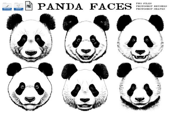 Panda Face Graphics Set: A Versatile Resource for Digital Creators